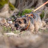 IMG_8403-2.jpg Kopie